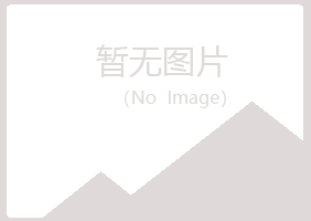 蕉城区夏岚演艺有限公司